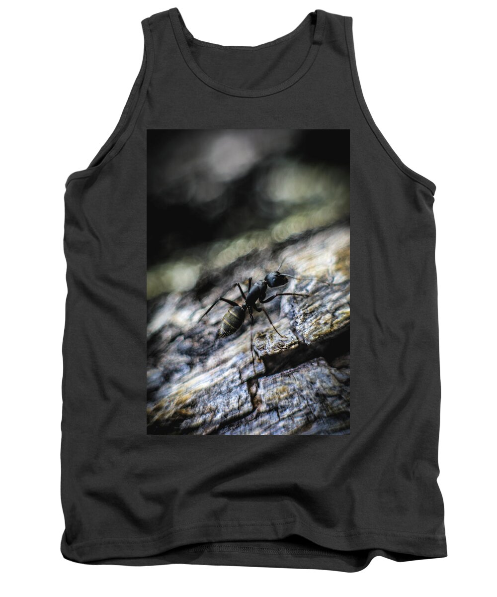 Ant Tank Top featuring the photograph Dynamic by Hyuntae Kim
