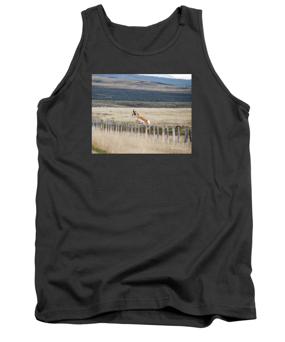 Antelope Tank Top featuring the photograph Antelope jumping fence 1 by Rebecca Margraf