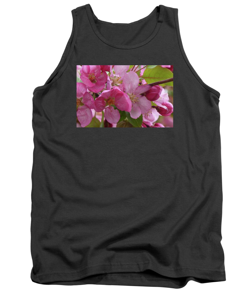 Flowers Tank Top featuring the photograph Apple Blossoms by Cris Fulton