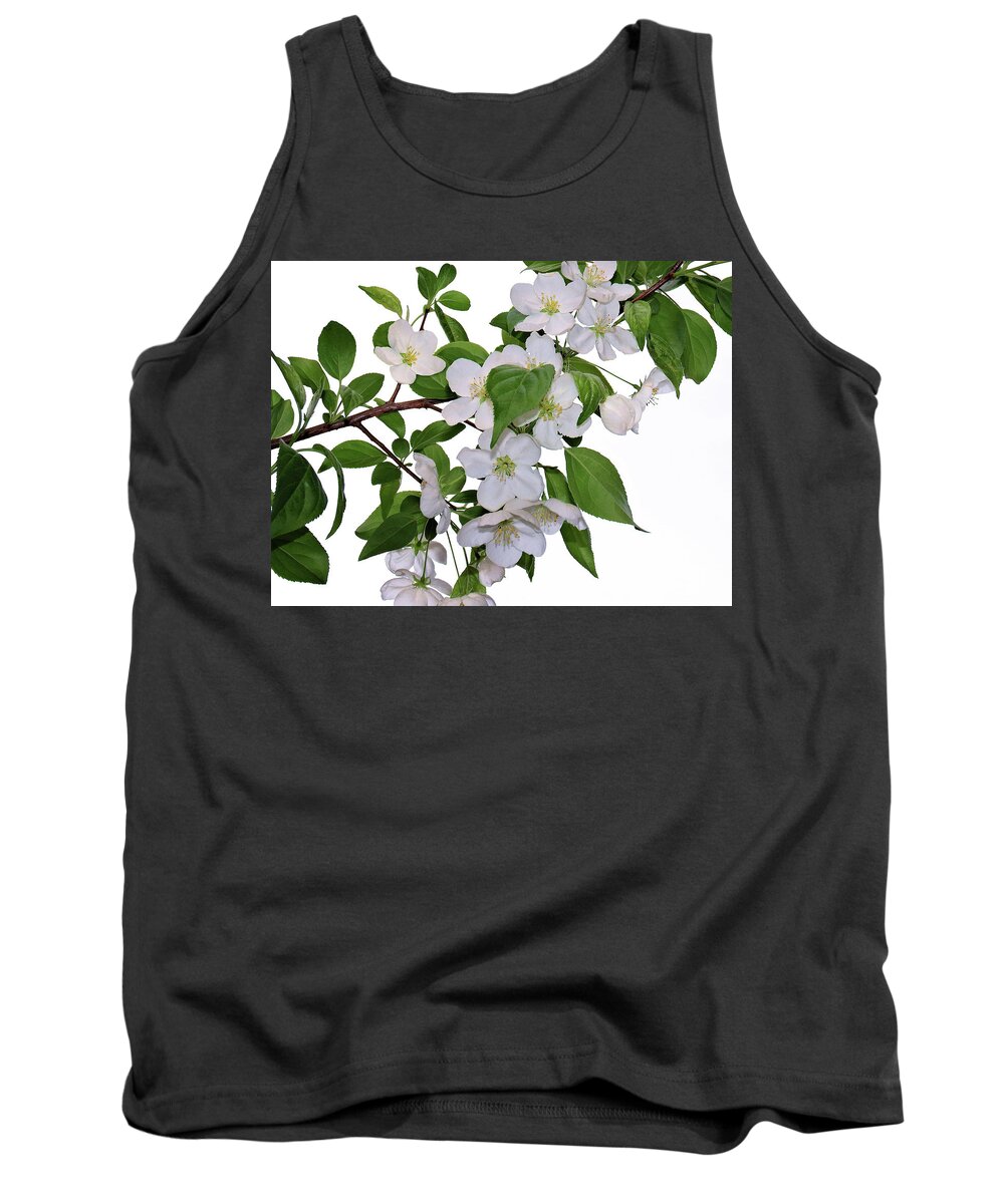 Apple Blossoms Tank Top featuring the photograph Apple Blossoms by Nina Bradica
