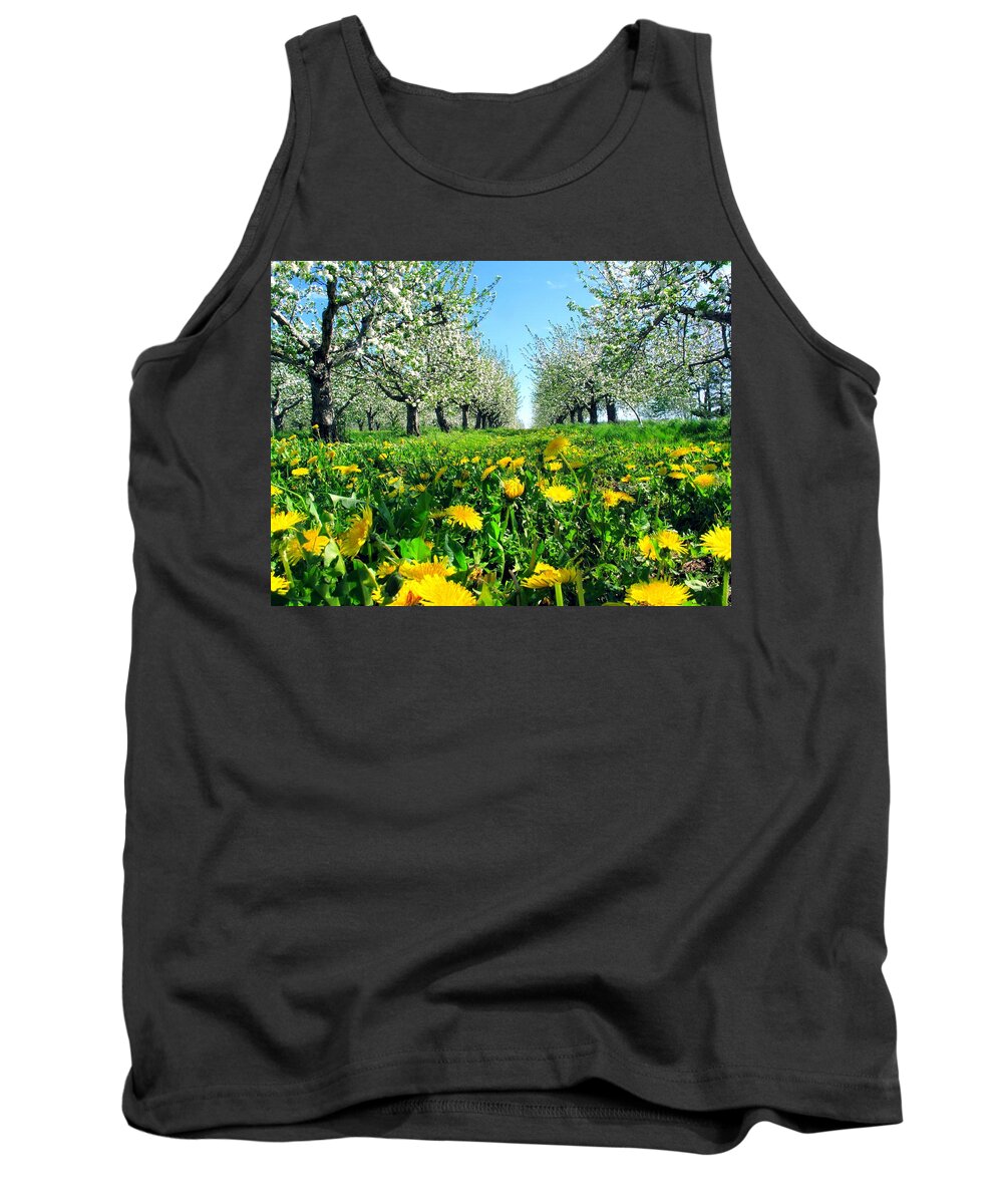 Canada Tank Top featuring the photograph Apple Orchard, Nova Scotia, Annapolis Valley by Gary Corbett