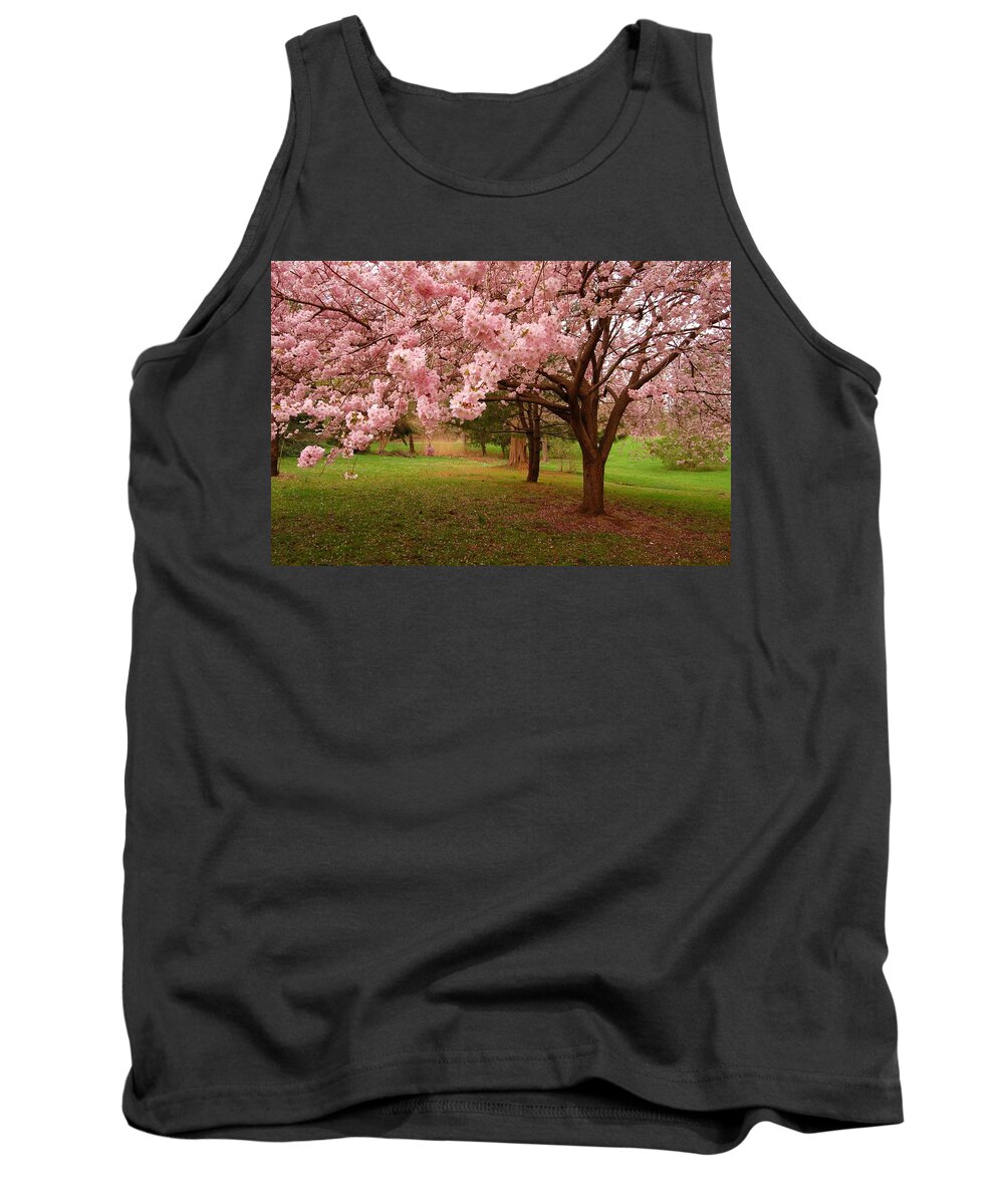 Cherry Blossoms Tank Top featuring the photograph Approach Me - Holmdel Park by Angie Tirado