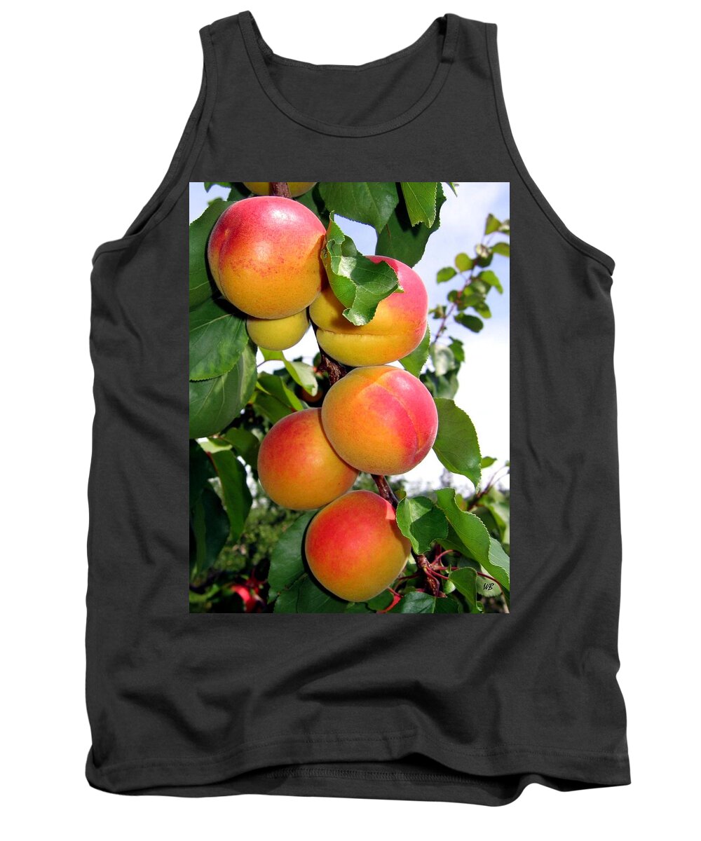 Apricots Tank Top featuring the photograph Apricots by Will Borden