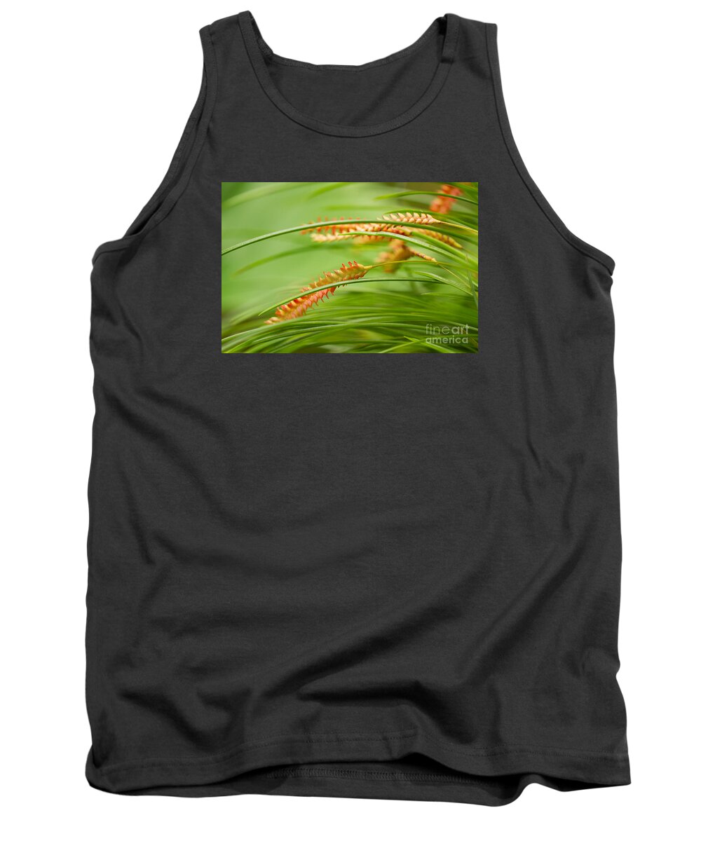 Botanic Gardens Tank Top featuring the photograph Arching by Marilyn Cornwell