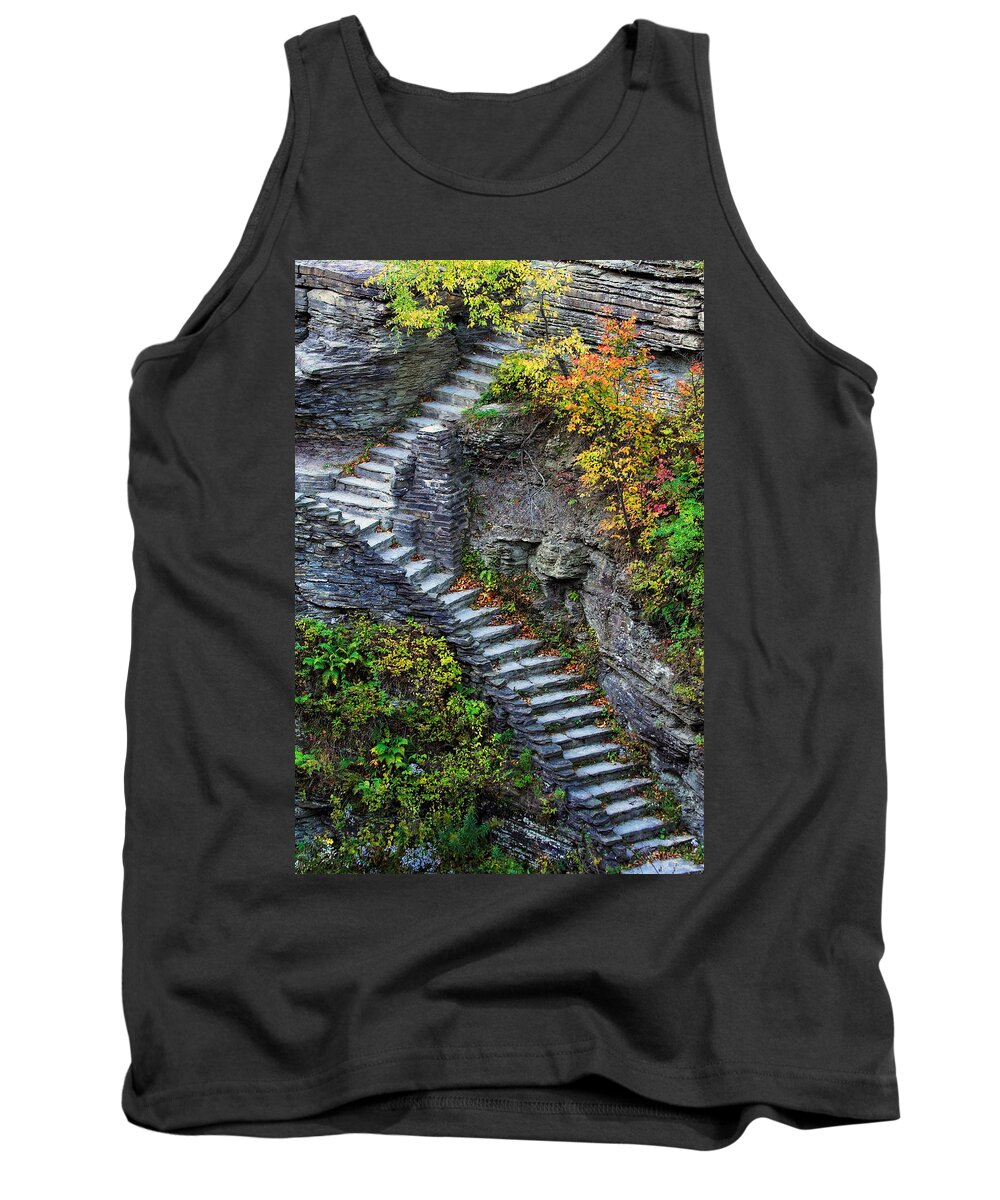 Fall Tank Top featuring the photograph Ascent by Neil Shapiro