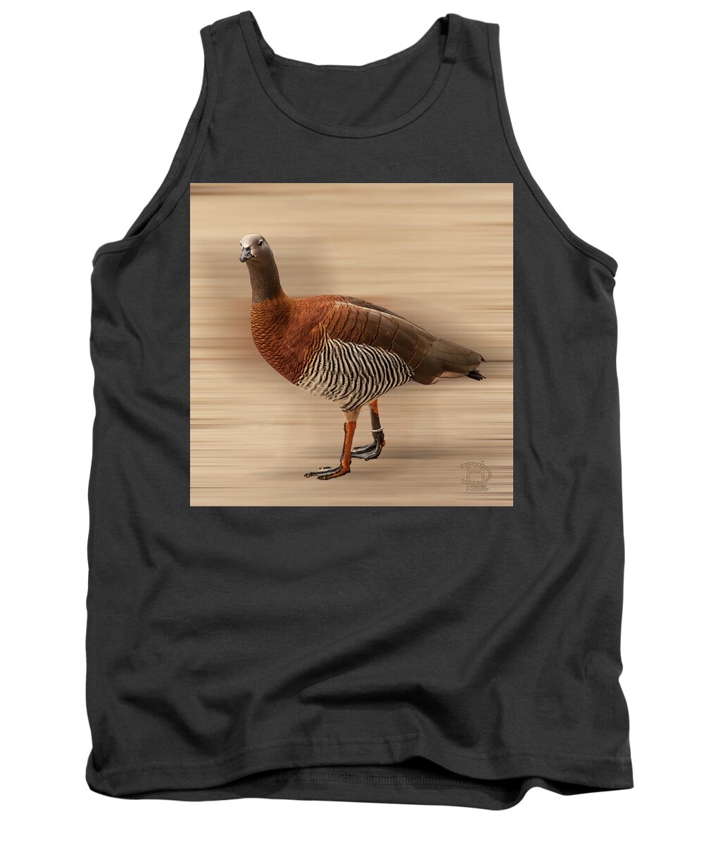  Tank Top featuring the photograph Ashy-headed Goose by Daniel Hebard