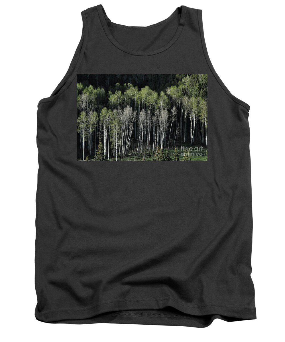 Aspen Tank Top featuring the photograph Aspen Spring by Randy Rogers