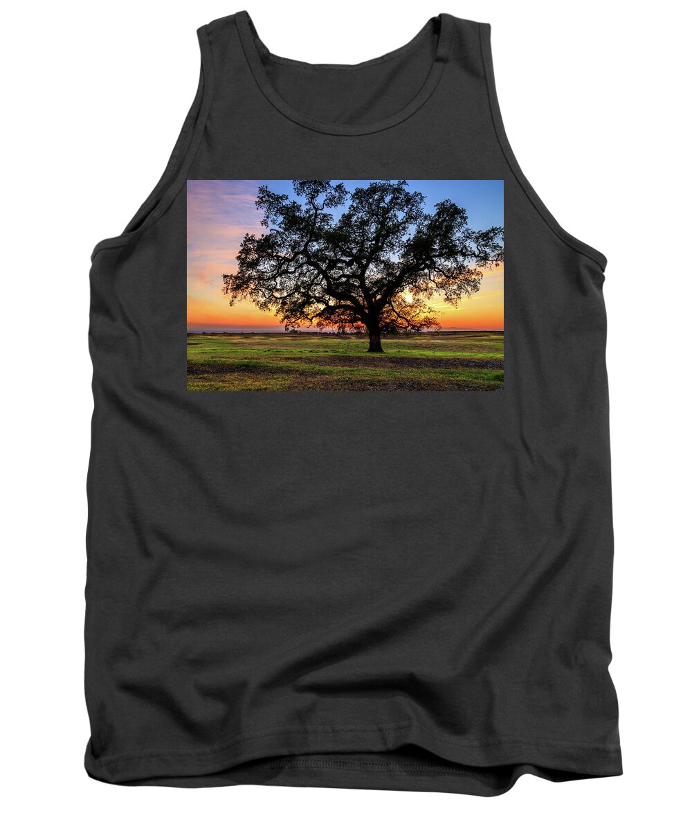 Oak Tank Top featuring the photograph An Oak At Sunset by James Eddy