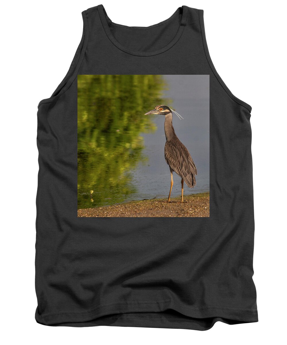 Birds Tank Top featuring the photograph Attentive Heron by Jean Noren