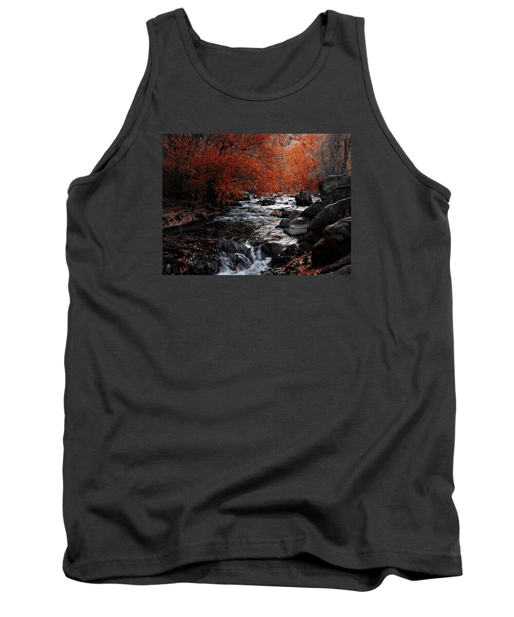 Autumn Tank Top featuring the photograph Autumn along the creek by Ernest Echols