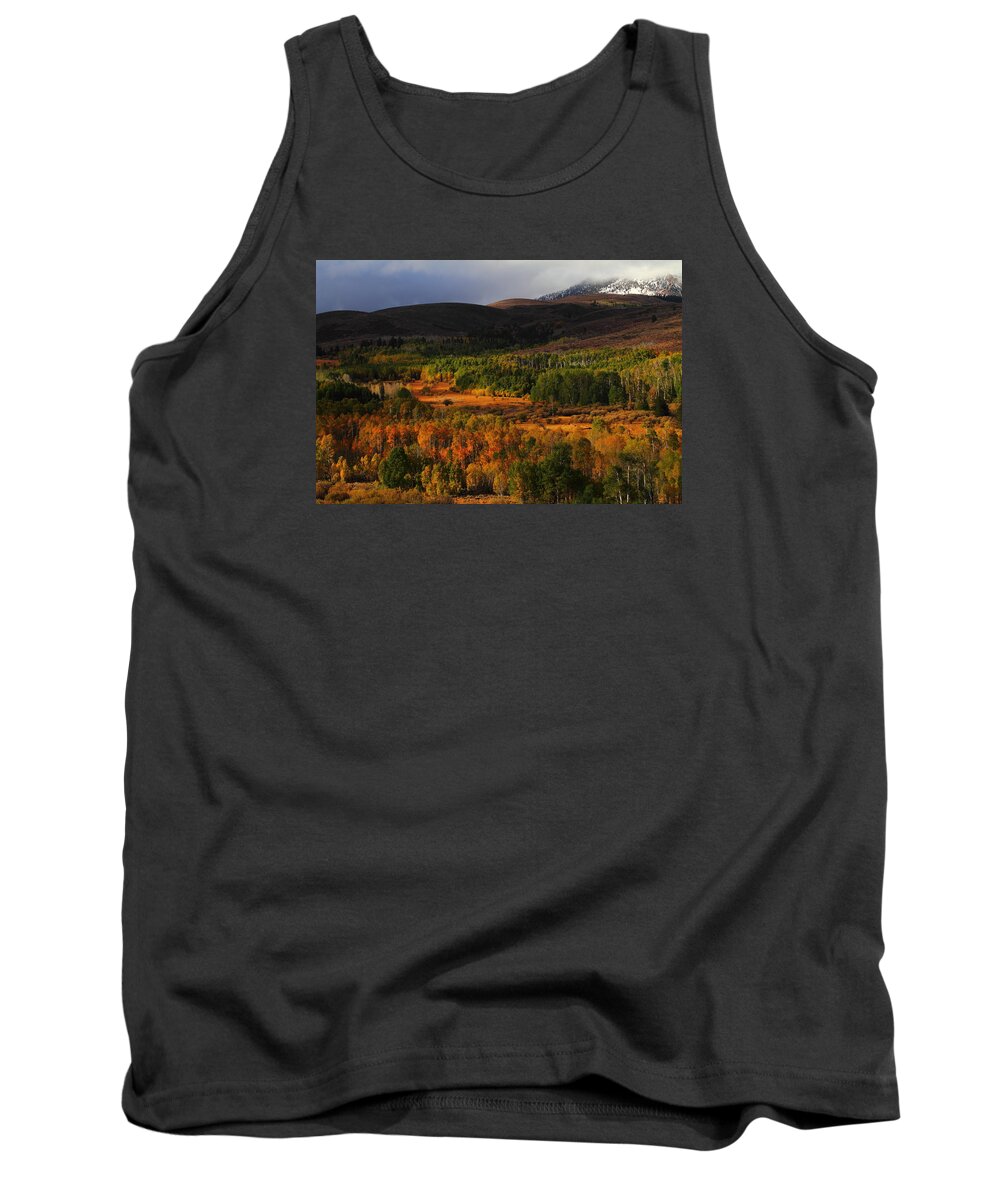 Fall Tank Top featuring the photograph Autumn aspen at Conway Summit in the Eastern Sierras by Jetson Nguyen