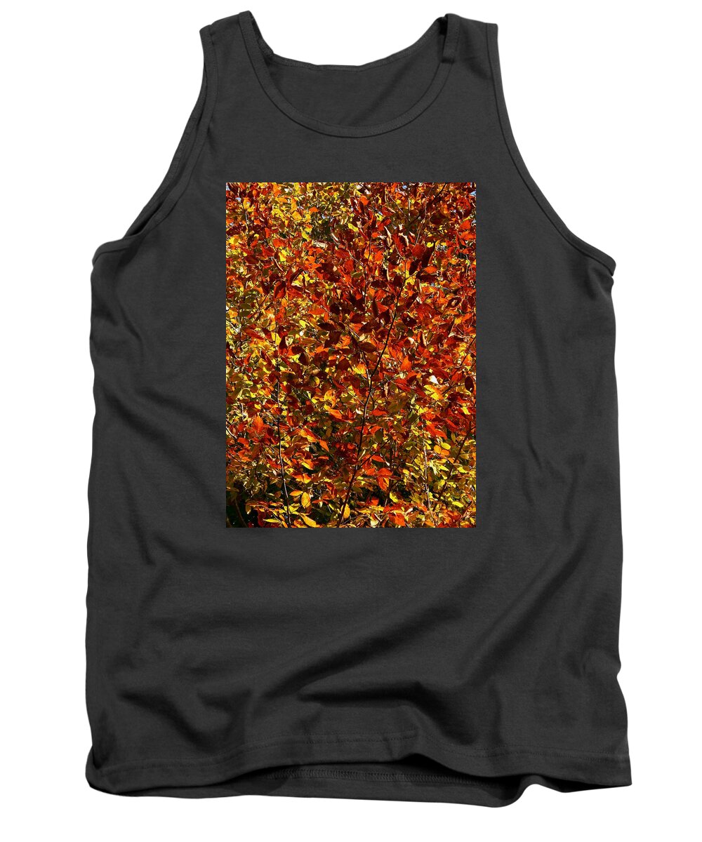 Color Tank Top featuring the photograph Autumn Colors by Karen Harrison Brown