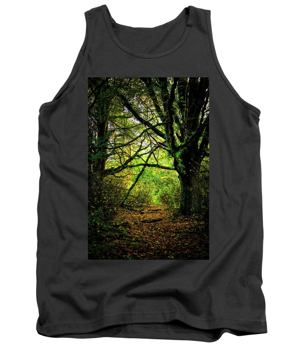 Autumn Light Tank Top featuring the photograph Autumn Light by David Patterson