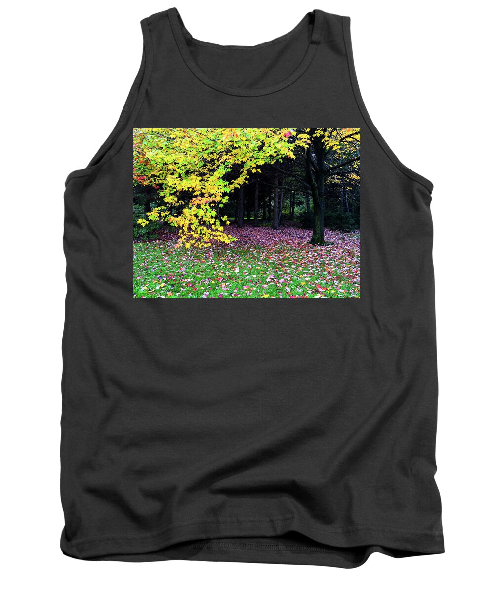 Trees Tank Top featuring the photograph Autumn trees and fallen leaves by GoodMood Art