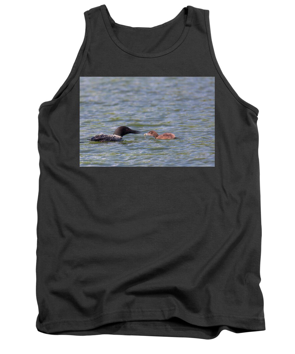 Baby Loon Tank Top featuring the photograph Feeding Time by Nancy Dunivin