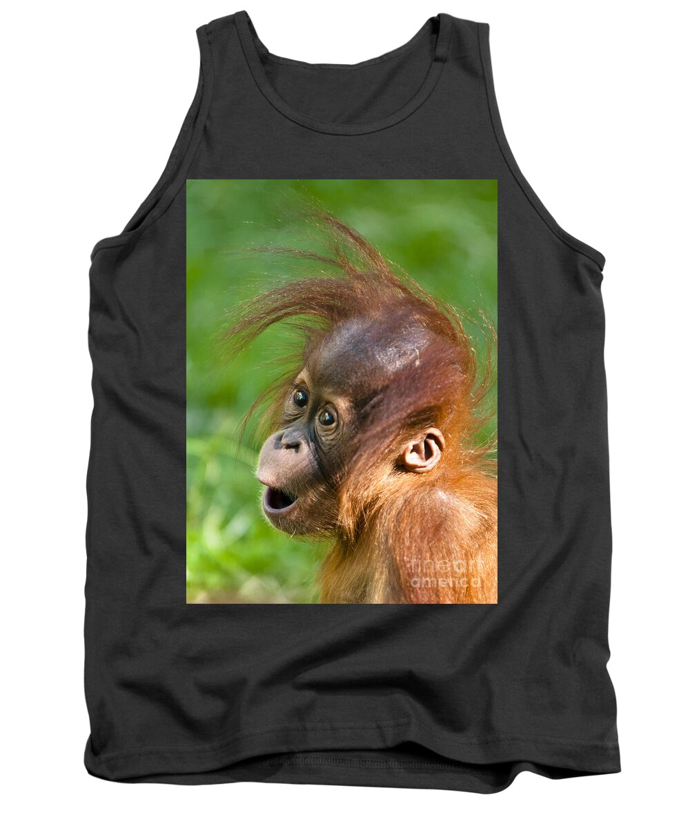 Asia Tank Top featuring the photograph Baby Orangutan by Andrew Michael