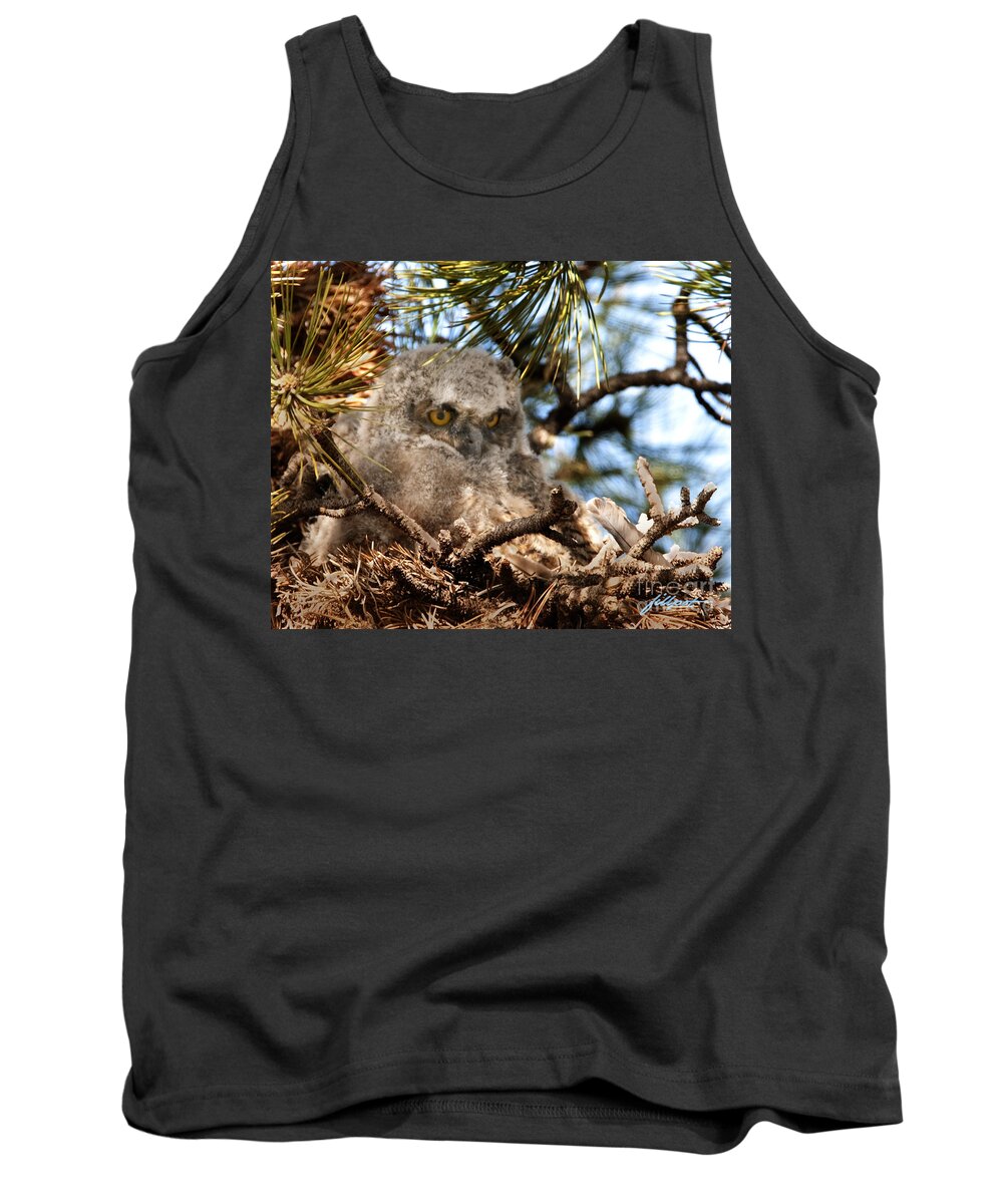 Great Horned Owl Chick Tank Top featuring the photograph Baby Who by Bon and Jim Fillpot
