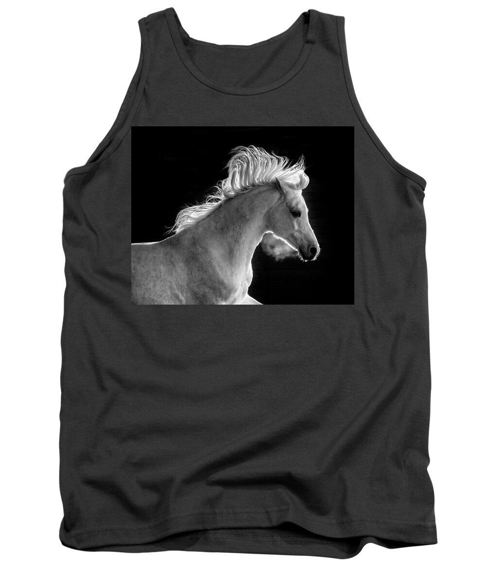 Backlit Arabian Tank Top featuring the photograph Backlit Arabian by Wes and Dotty Weber