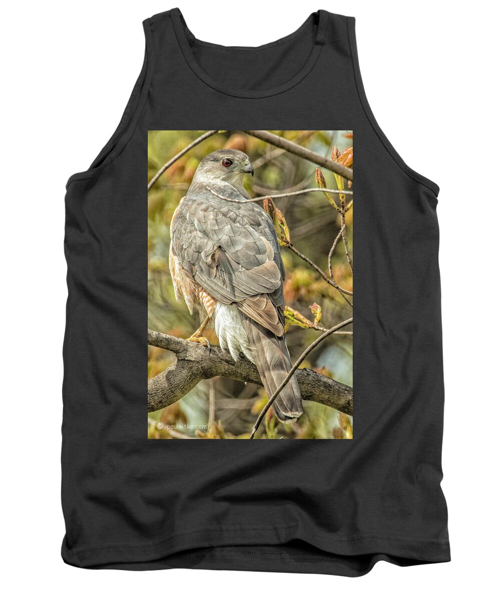  Tank Top featuring the photograph Backyard Visitor.... by Paul Vitko