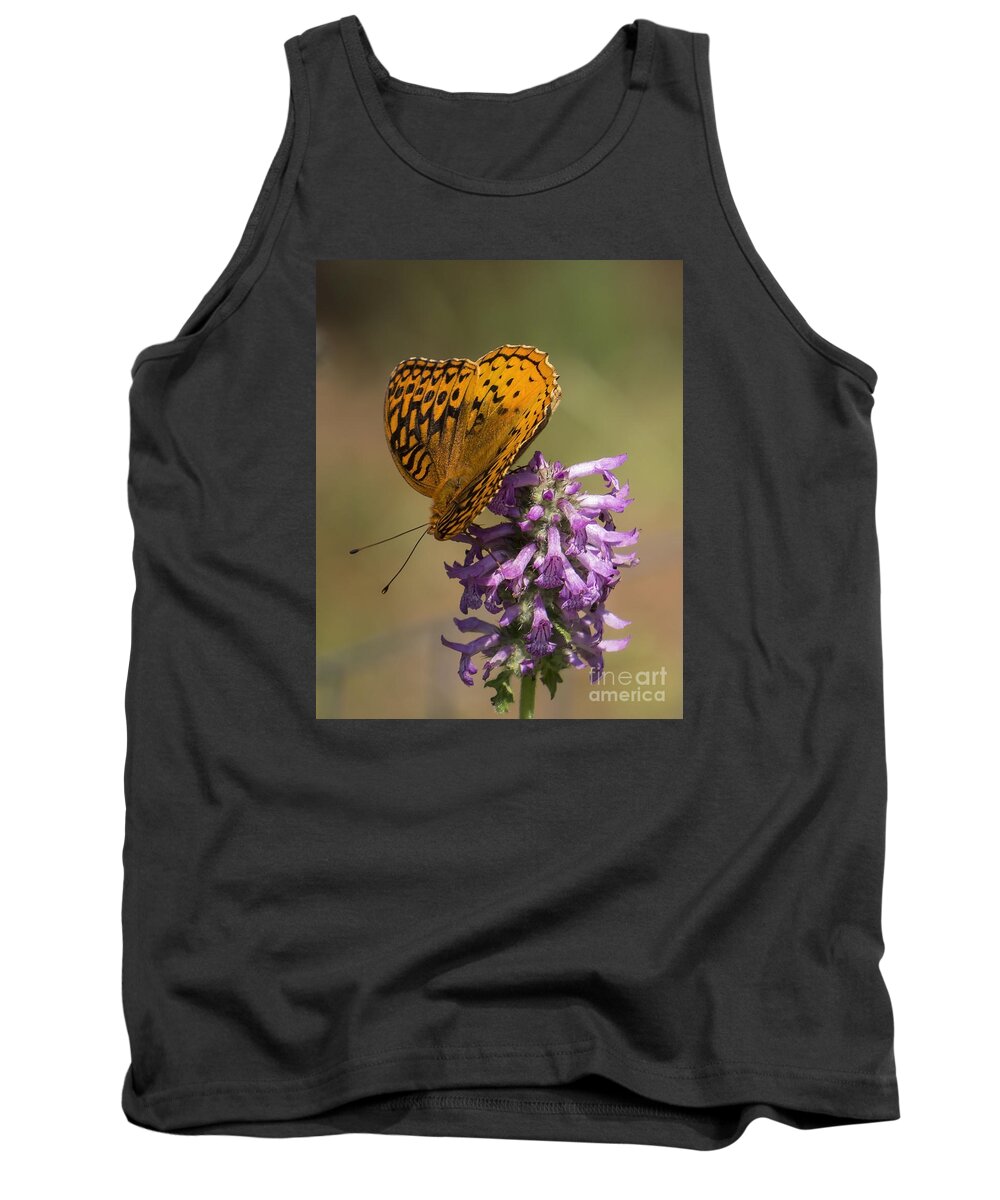 Insects Tank Top featuring the photograph Balance by Lili Feinstein
