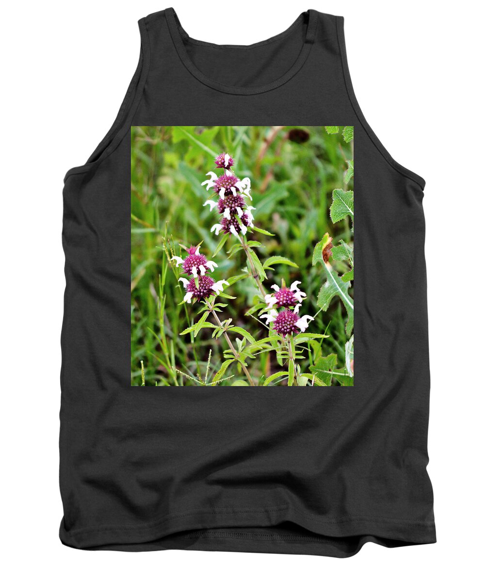 Wildflowers Tank Top featuring the photograph Balancing balls by James Smullins