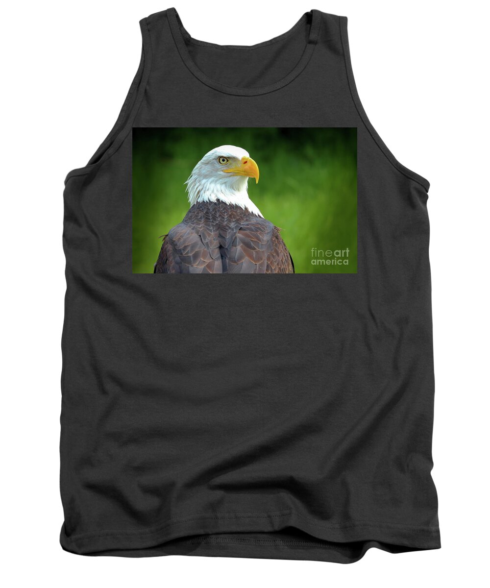 Bald Eagle Tank Top featuring the photograph Bald eagle by Franziskus Pfleghart