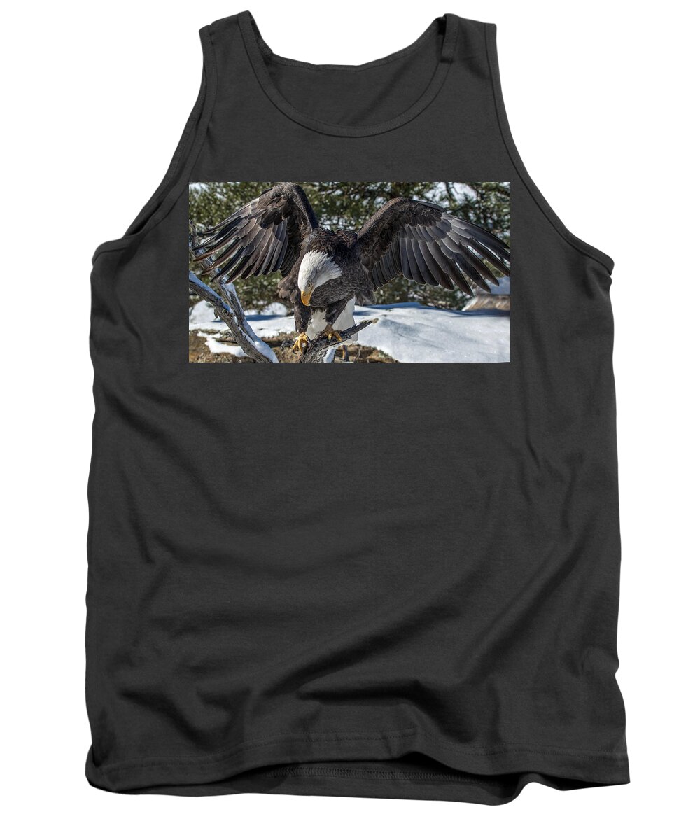 Bald Eagle Tank Top featuring the photograph Bald Eagle Spread by Dawn Key