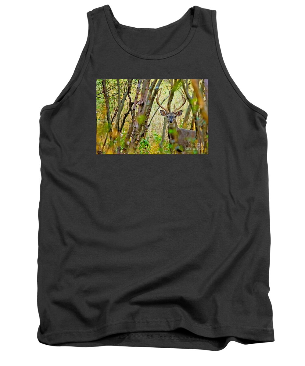 Michael Tidwell Photography Tank Top featuring the photograph Bambi's Father by Michael Tidwell