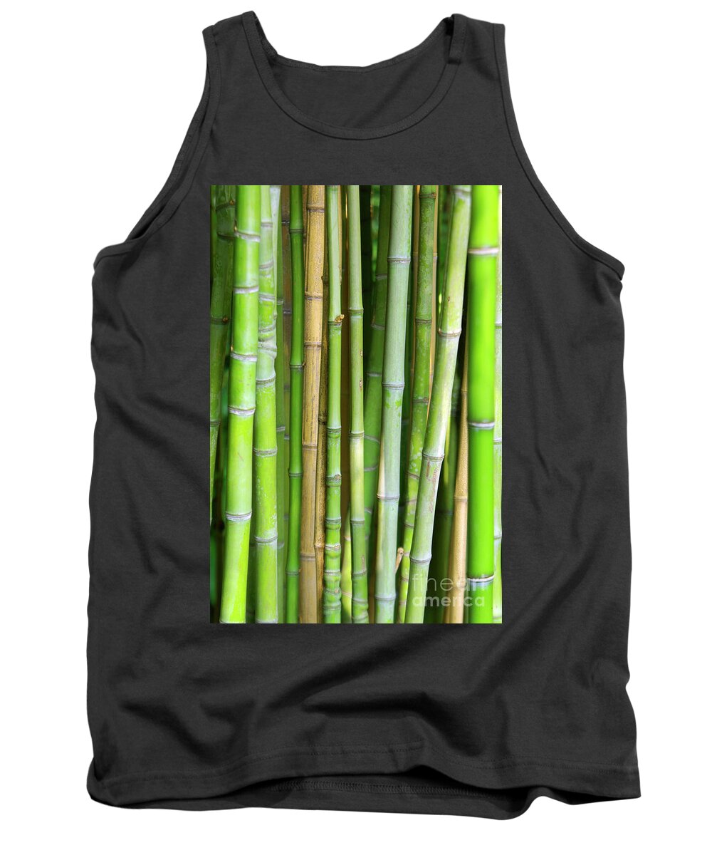 Asian Tank Top featuring the photograph Bamboo Background by Carlos Caetano