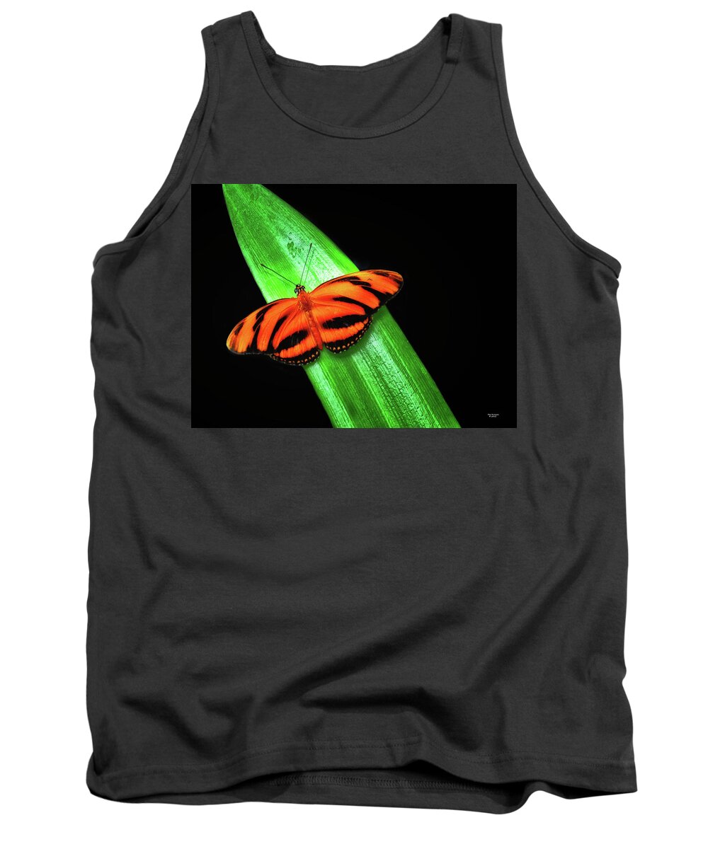 Butterfly Tank Top featuring the photograph Banded Orange Longwing by Peg Runyan