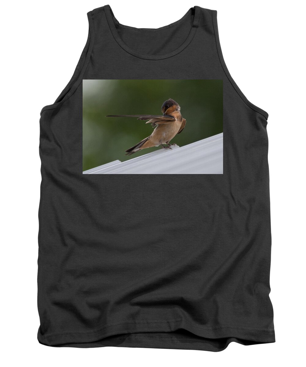 Barn Swallow Tank Top featuring the photograph Barn Swallow by Holden The Moment