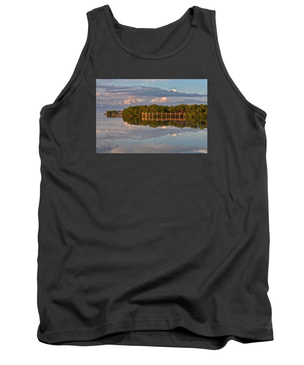 Bailey Tank Top featuring the photograph Basking in the Setting Sun by John M Bailey
