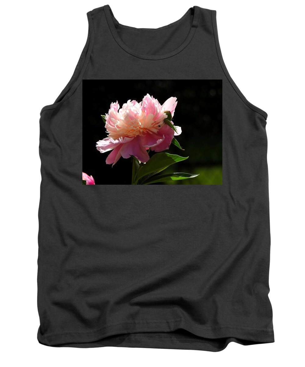 Pink Flower Tank Top featuring the photograph Basking in the Sun by Betty-Anne McDonald