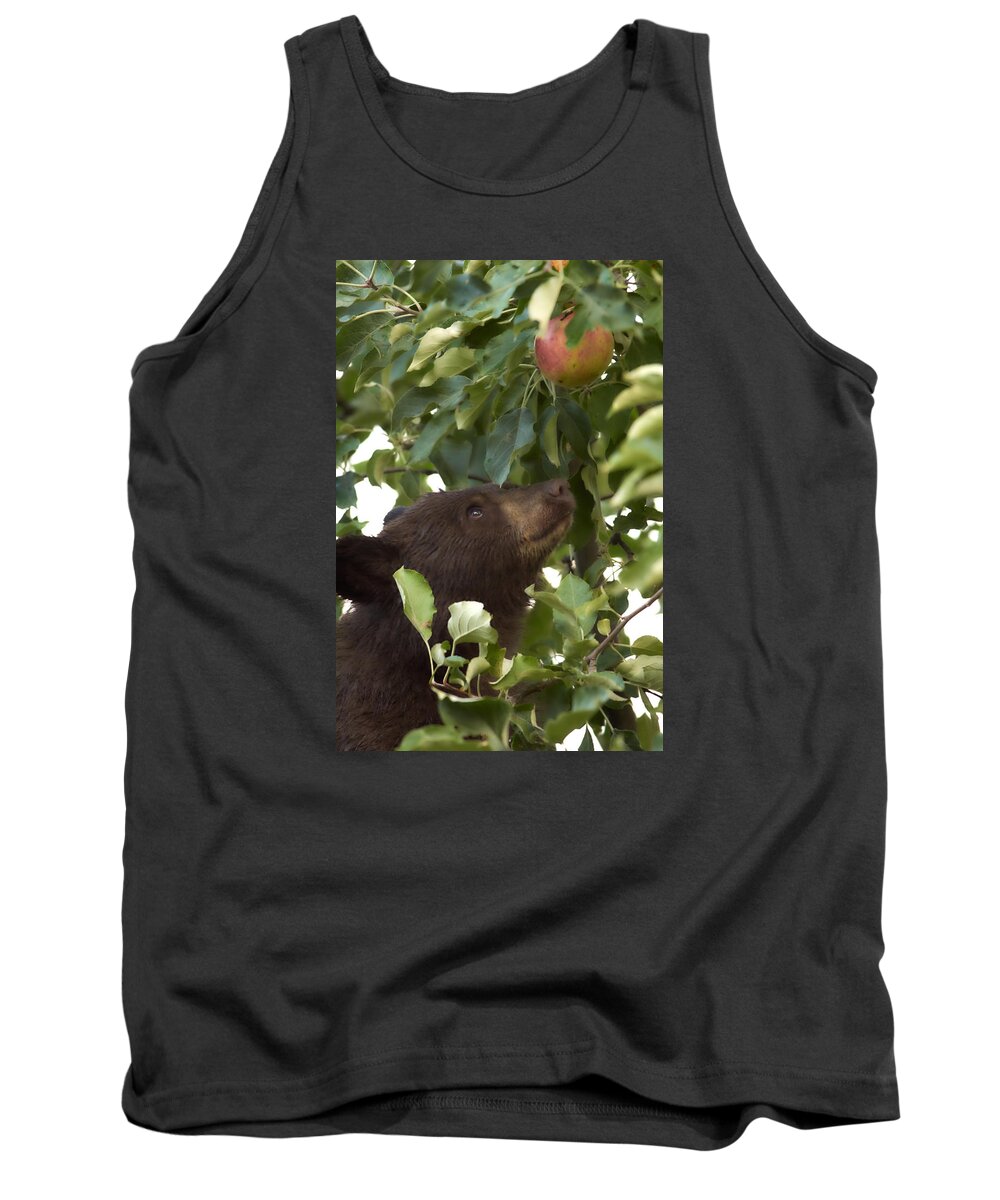 Black Bear Tank Top featuring the photograph Bear Cub in Apple Tree4 by Loni Collins
