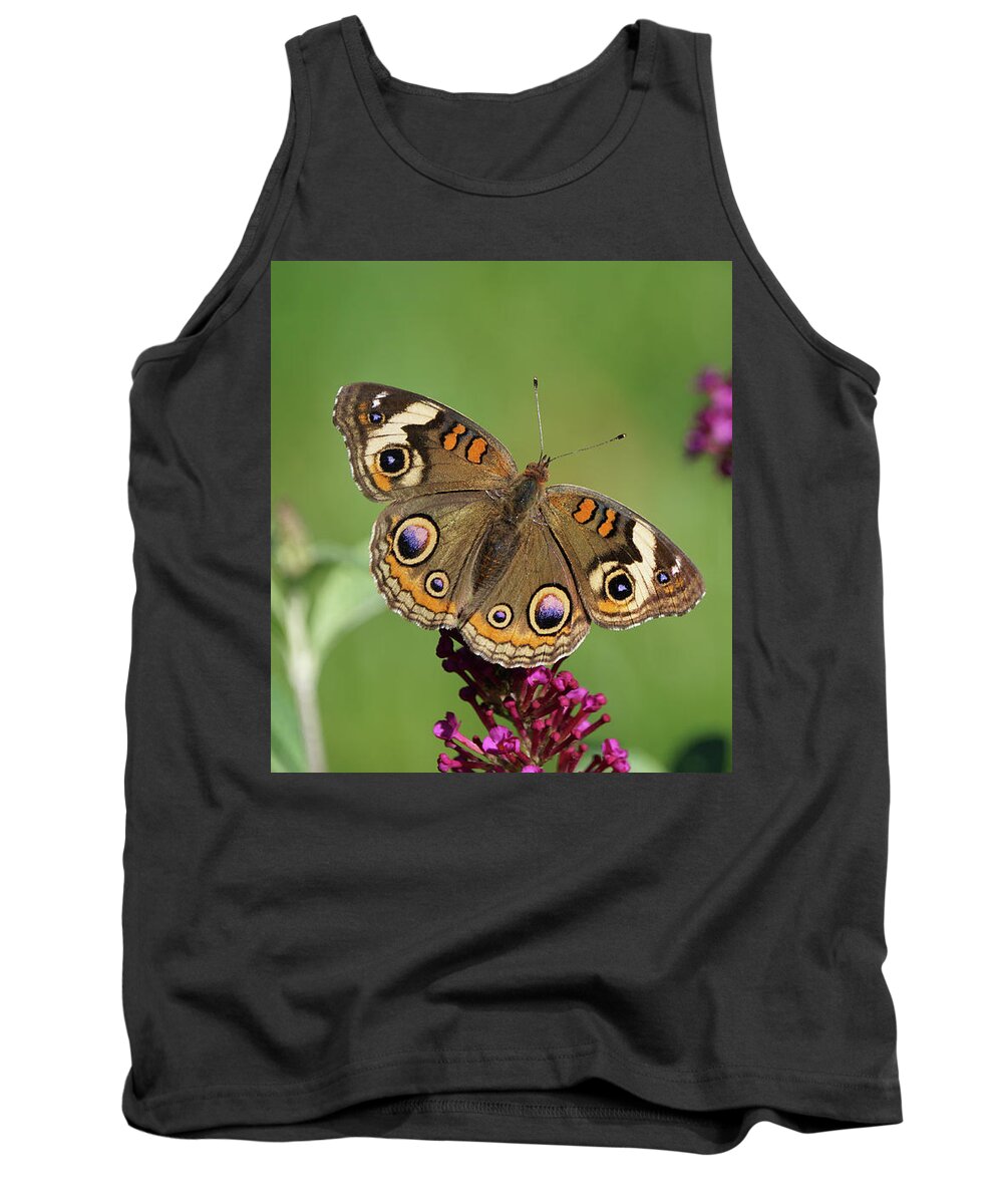 Butterfly Tank Top featuring the photograph Beautiful Buckeye Butterfly by Robert E Alter Reflections of Infinity