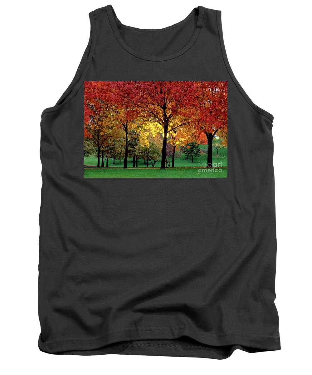 Autumn Tank Top featuring the photograph Beautiful Light at the Park in St. Louis in Autumn by Wernher Krutein