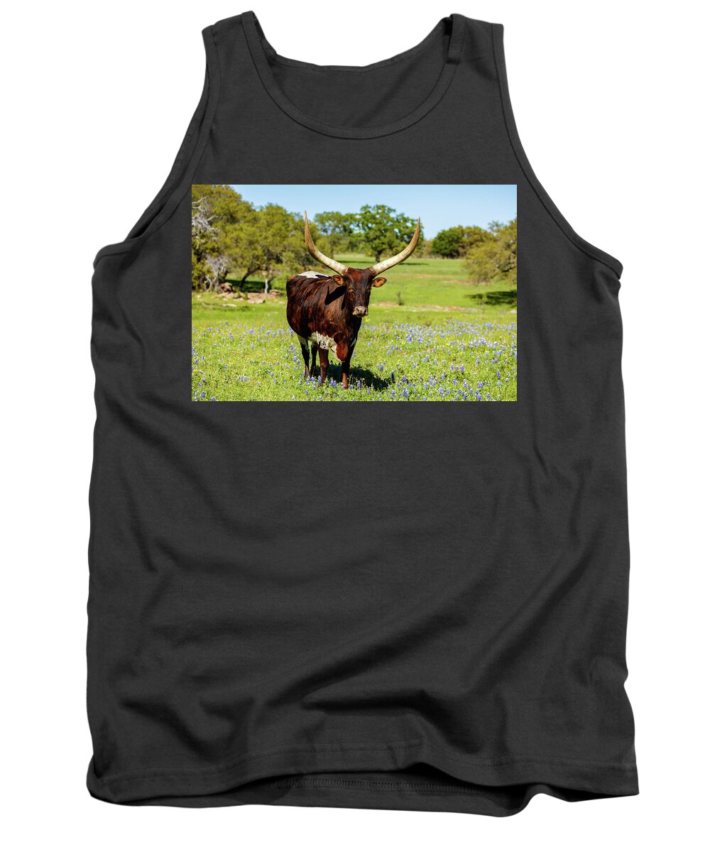 African Breed Tank Top featuring the photograph Beautiful longhorn bull by Raul Rodriguez