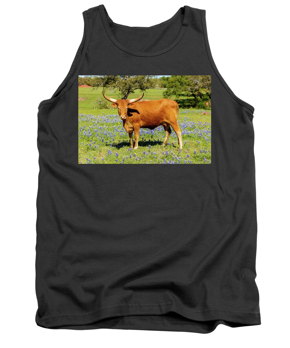 African Breed Tank Top featuring the photograph Beautiful longhorn cow by Raul Rodriguez