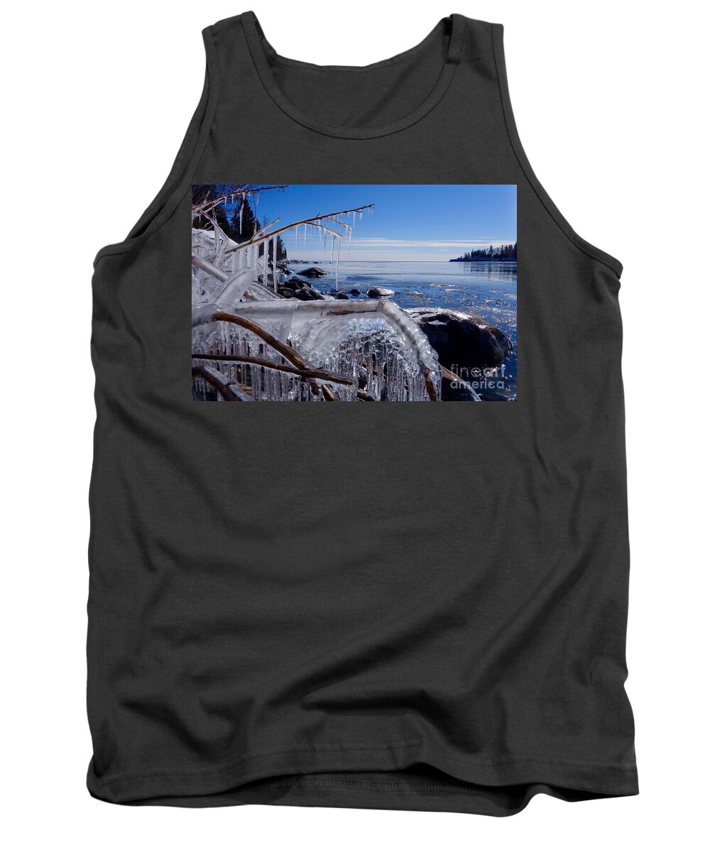Winter Tank Top featuring the photograph Beautiful Winter Day by Sandra Updyke
