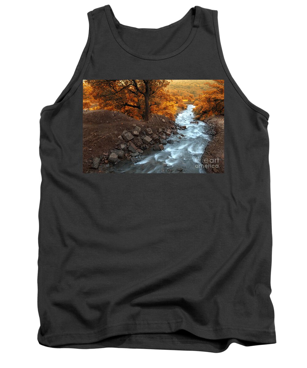 Landscape Tank Top featuring the photograph Beauty Of The Nature by Charuhas Images