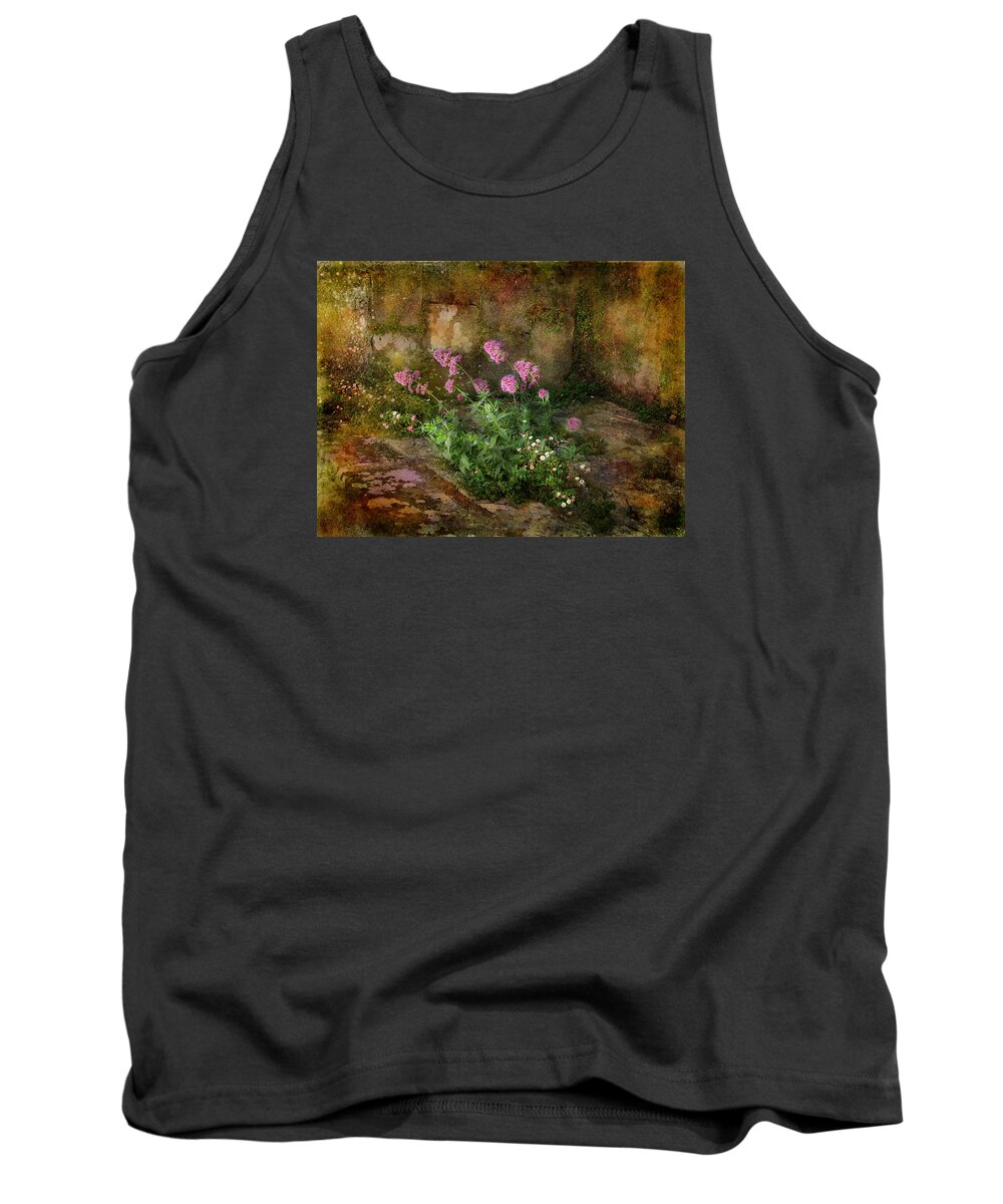 Stone Tank Top featuring the photograph Beauty on an Old Stone Wall by Carla Parris