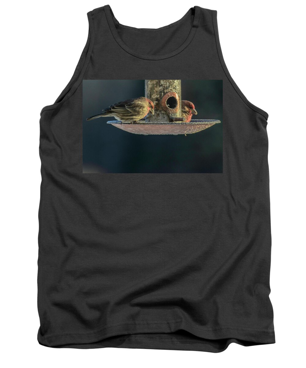  Tank Top featuring the photograph Below Zero.... by Paul Vitko