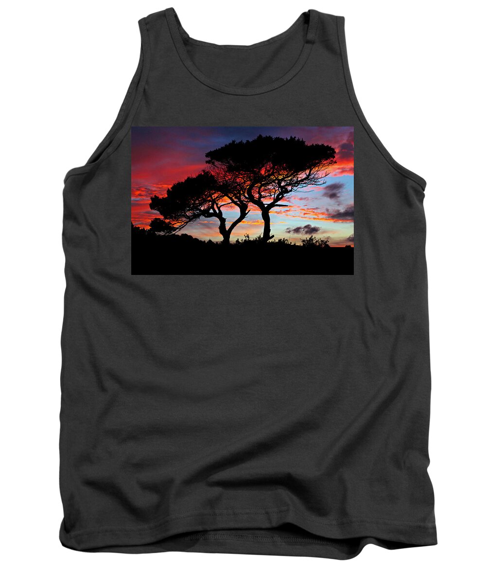 Sunset Tank Top featuring the photograph Beyond The Trees by Ally White