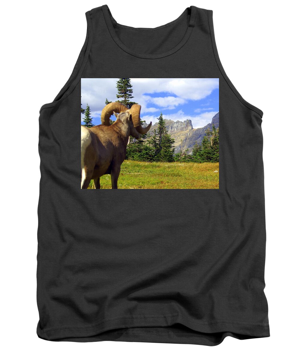 Glacier National Park Tank Top featuring the photograph Big Horn 3 by Marty Koch