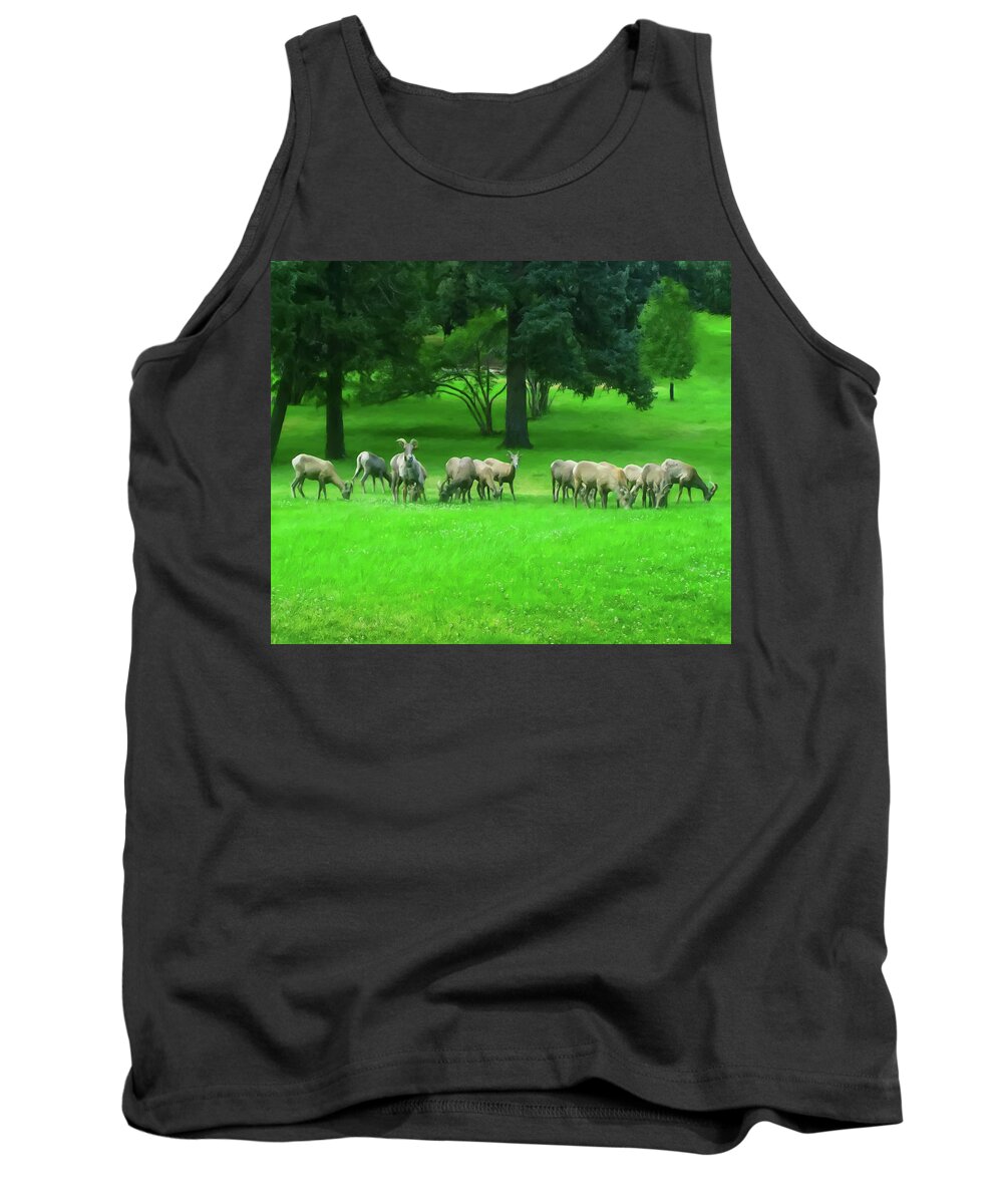 Ovis Canadensis Tank Top featuring the painting Bighorn Sheep Ewes by Flees Photos