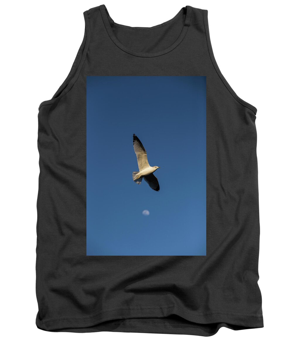 Bird Tank Top featuring the photograph Bird Over The Moon by Jason Hughes