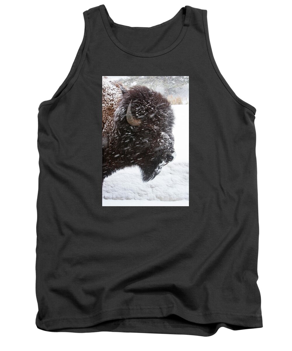 Bison Tank Top featuring the photograph Bison in Snow by Mark Miller