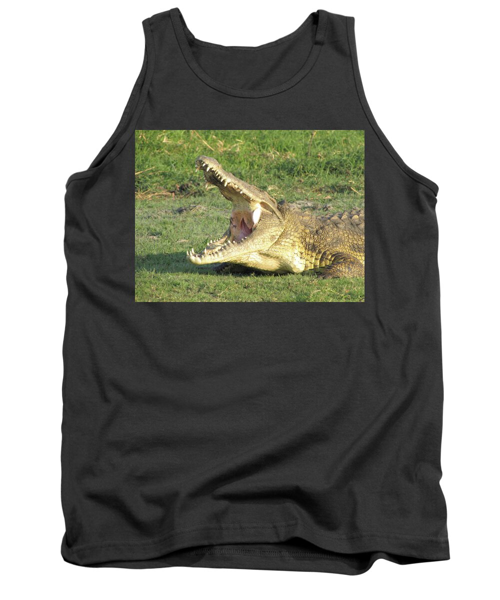 Crocodile Tank Top featuring the photograph Bite Me by David Bader
