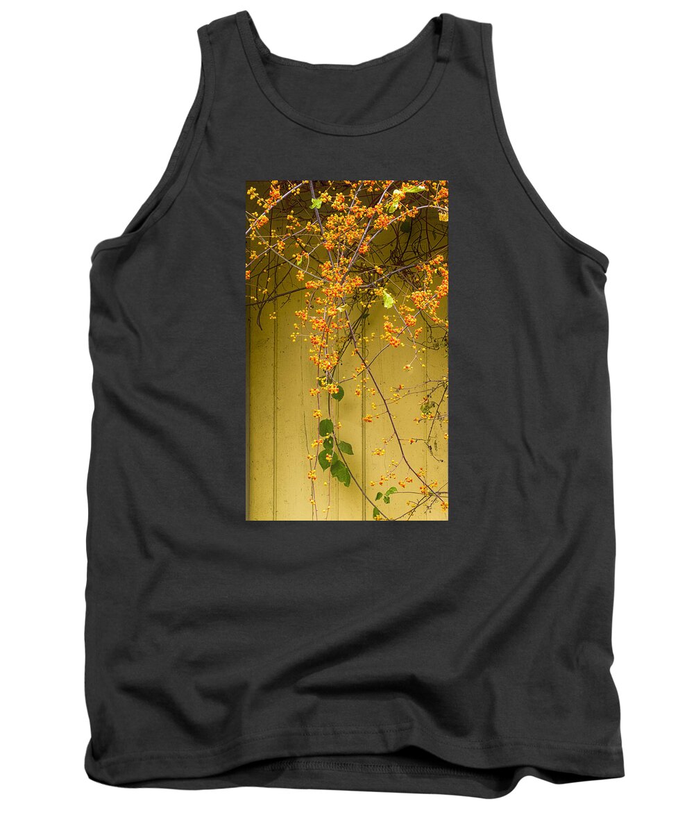 Cone Flowers Tank Top featuring the photograph Bittersweet Vine by Tom Singleton