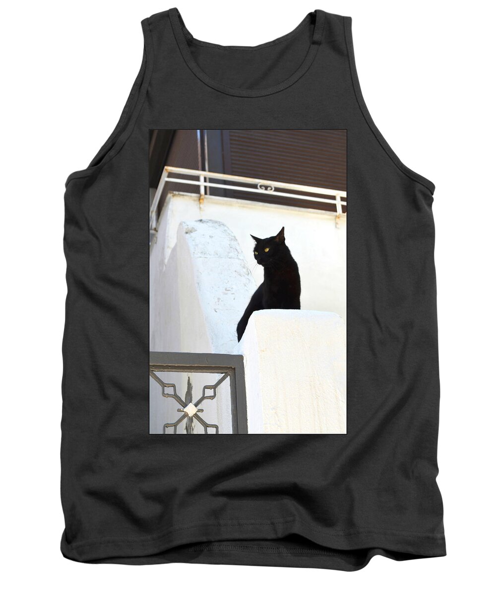 Cat Tank Top featuring the photograph Black and white by Rumiana Nikolova